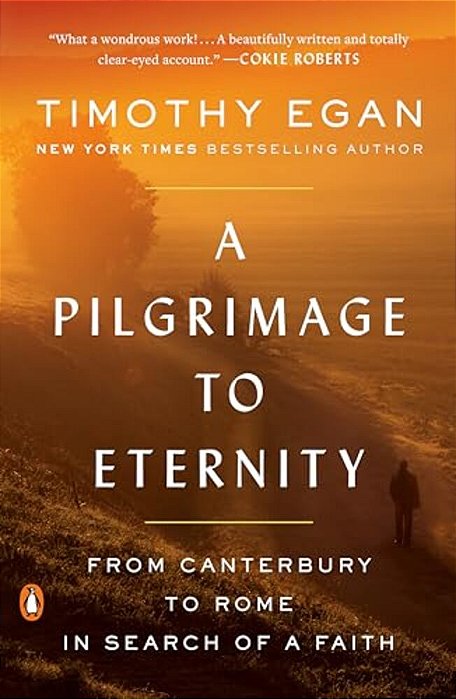 A Pilgrimage To Eternity: From Canterbury To Rome In Search Of A Faith-..