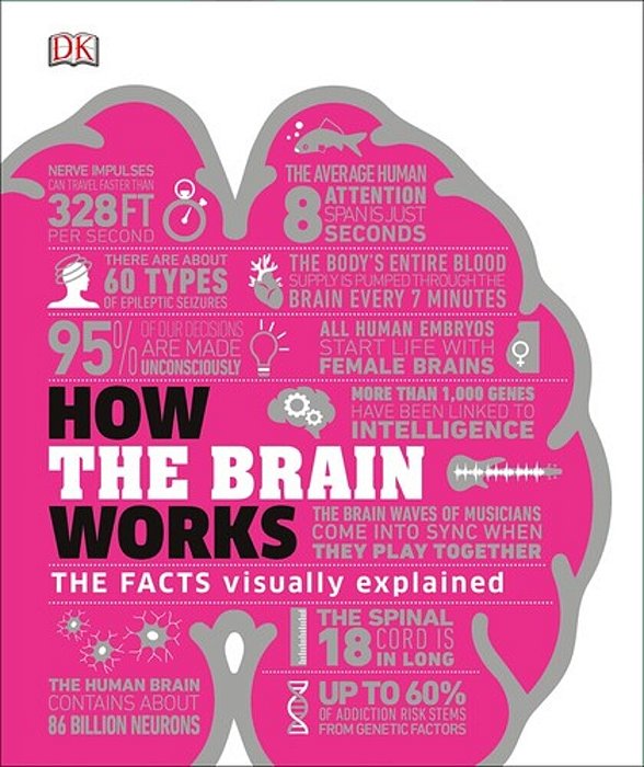 How The Brain Works: The Facts Visually Explained-..
