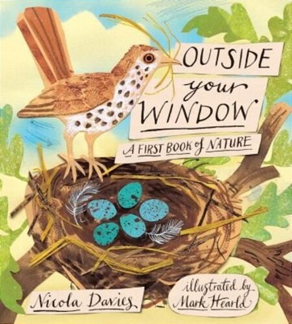 Outside Your Window: A First Book Of Nature-..