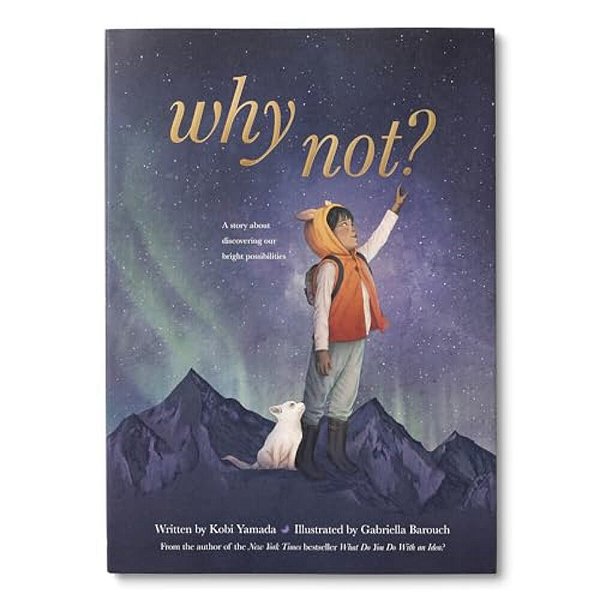Why Not?: A Story About Discovering Our Bright Possibilities-..