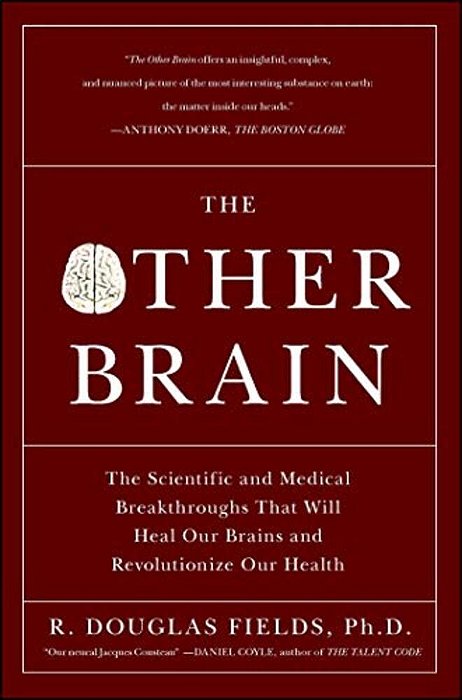 The Other Brain: The Scientific And Medical Breakthroughs That Will Heal Our Brains And Revolutionize Our Health-..