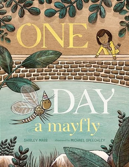 One Day A Mayfly-..