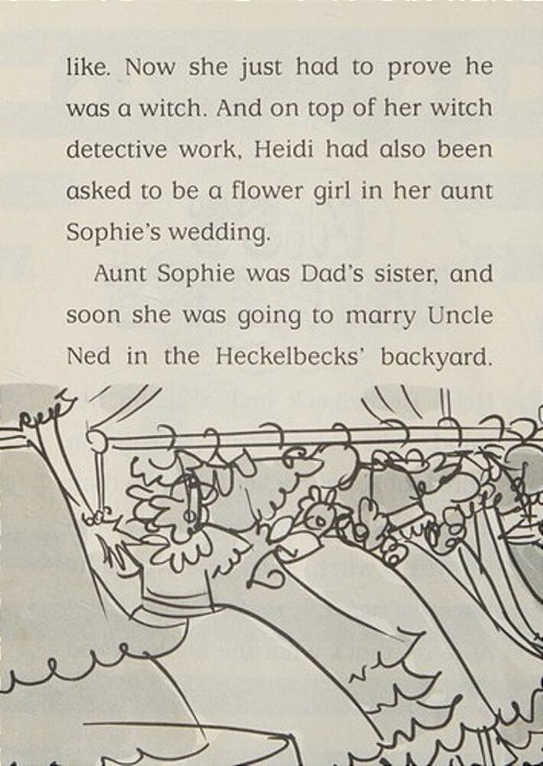 Heidi Heckelbeck Is A Flower Girl-..