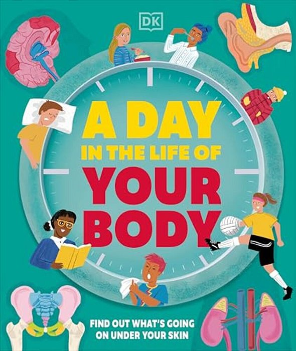 A Day In The Life Of Your Body: Find Out What's Going On Under Your Skin-..