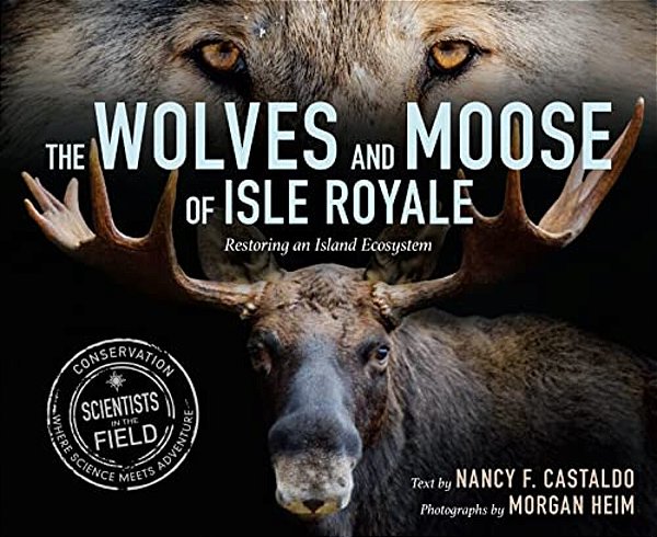 The Wolves And Moose Of Isle Royale: Restoring An Island Ecosystem-..