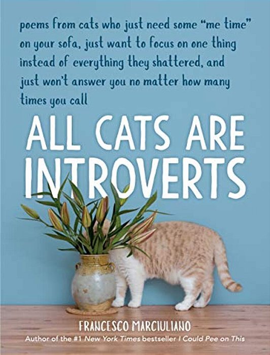 All Cats Are Introverts-..