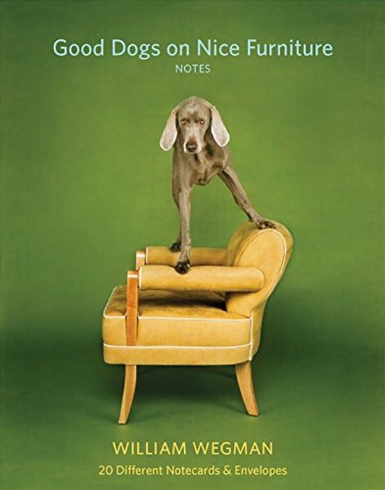 Good Dogs On Nice Furniture Notes: 20 Different Notecards & Envelopes [With Envelope]-..