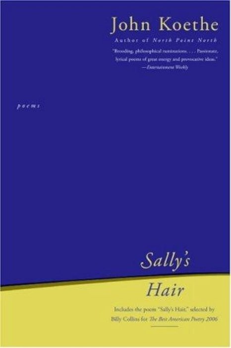 Sally's Hair: Poems-..