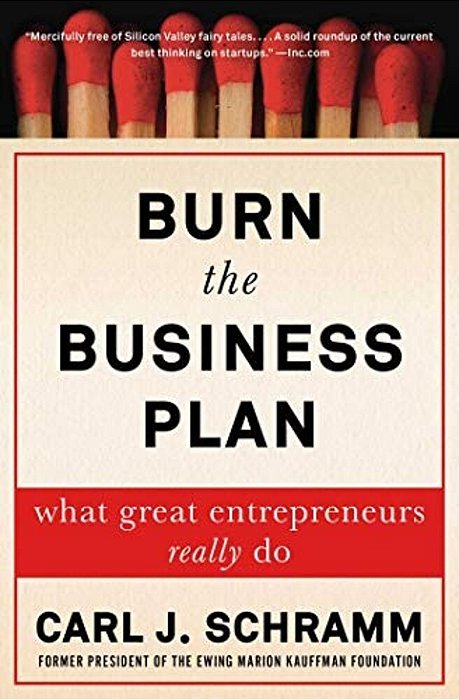 Burn The Business Plan: What Great Entrepreneurs Really Do-..