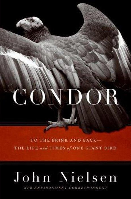 Condor: To The Brink And Back--the Life And Times Of One Giant Bird-..
