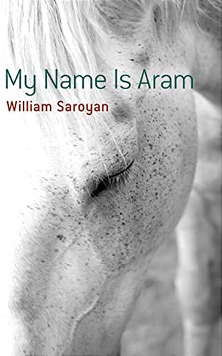 My Name Is Aram-..