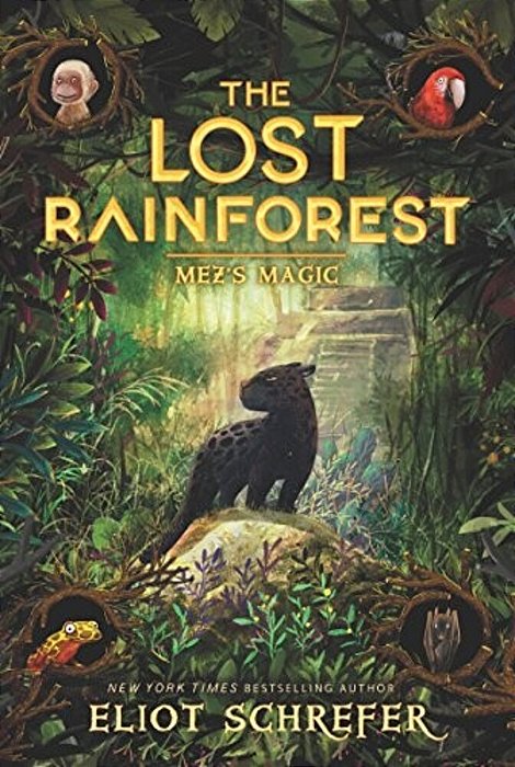 The Lost Rainforest: Mez's Magic-..