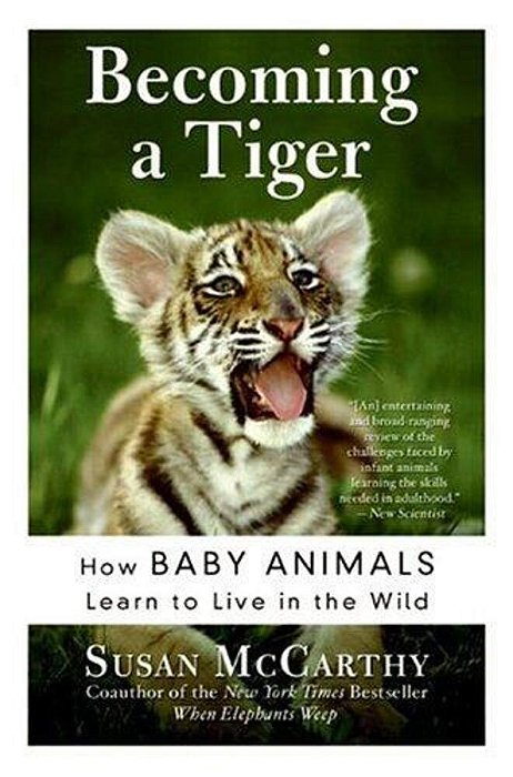 Becoming A Tiger: How Baby Animals Learn To Live In The Wild-..