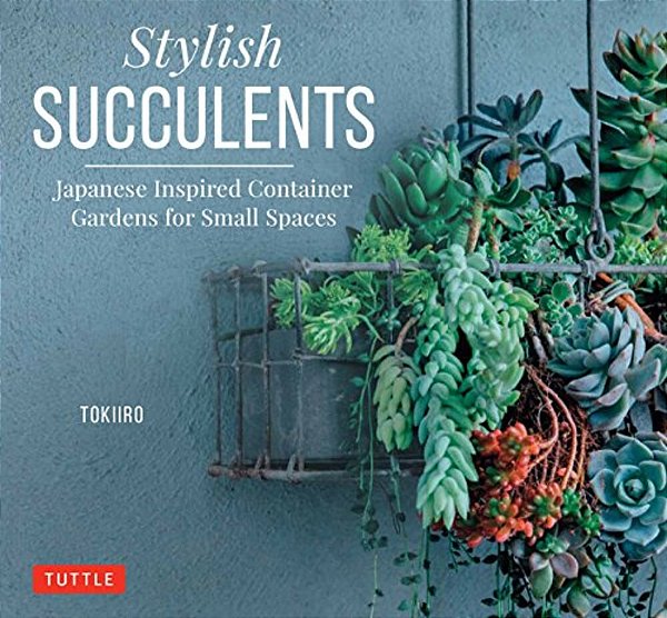 Stylish Succulents: Japanese Inspired Container Gardens For Small Spaces-..