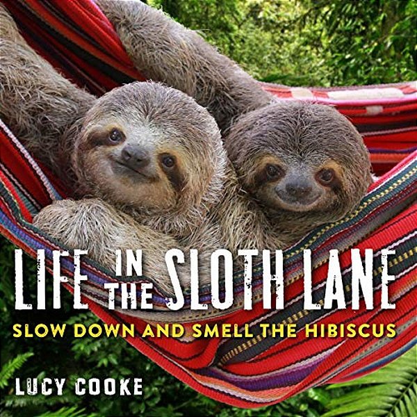 Life In The Sloth Lane: Slow Down And Smell The Hibiscus-..