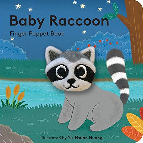 Baby Raccoon-..