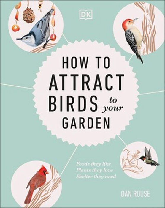 How To Attract Birds To Your Garden: Foods They Like, Plants They Love, Shelter They Need-..