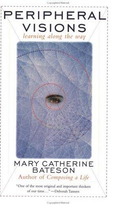 Peripheral Visions: Learning Along The Way-..