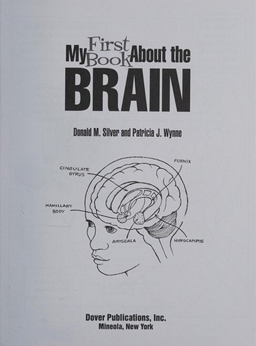 My First Book About The Brain-..