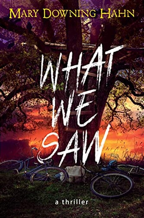 What We Saw: A Thriller-..