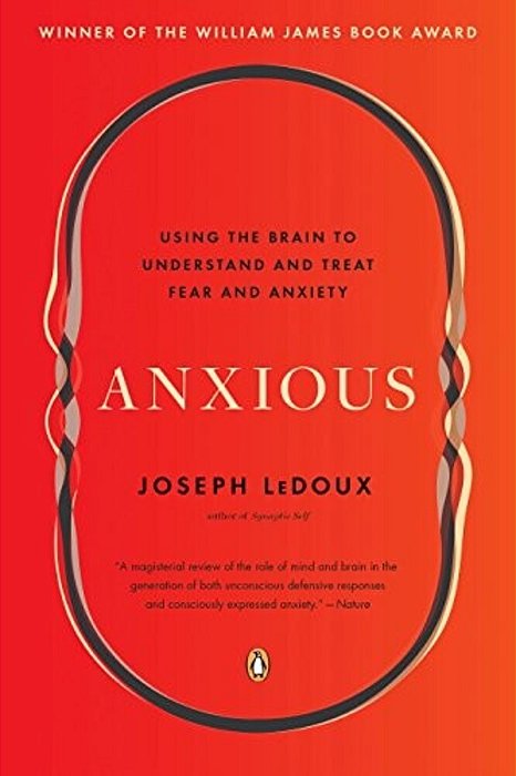 Anxious: Using The Brain To Understand And Treat Fear And Anxiety-..