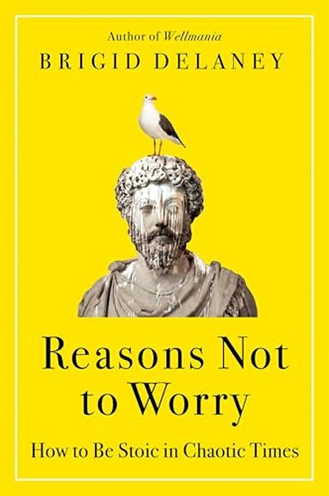 Reasons Not To Worry: How To Be Stoic In Chaotic Times-..