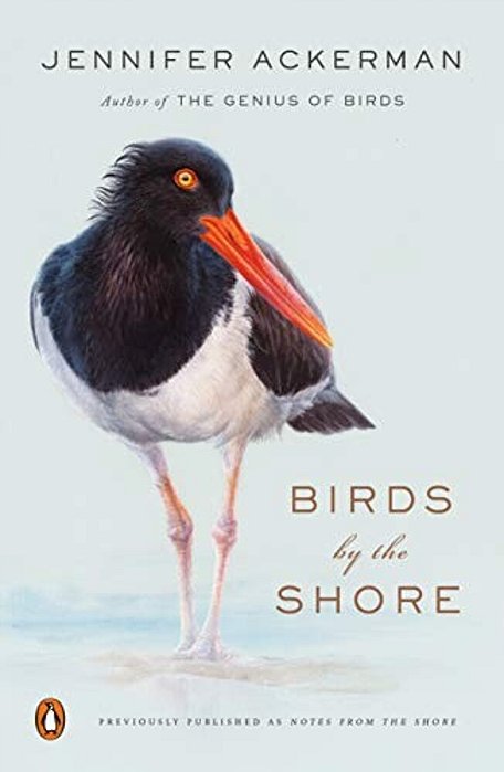 Birds By The Shore: Observing The Natural Life Of The Atlantic Coast-..