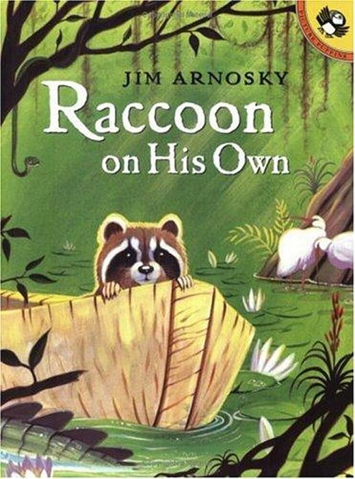 Raccoon On His Own-..