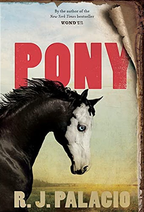 Pony-..