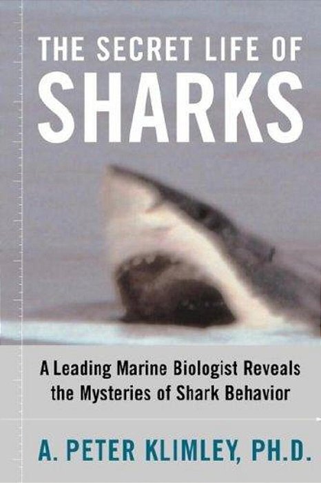 The Secret Life Of Sharks: A Leading Marine Biologist Reveals The Mysteries Of Shark Behavior-..