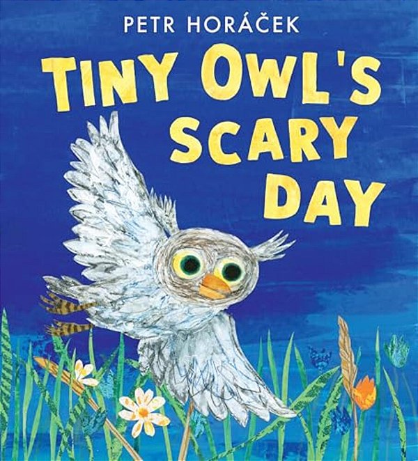 Tiny Owl's Scary Day-..