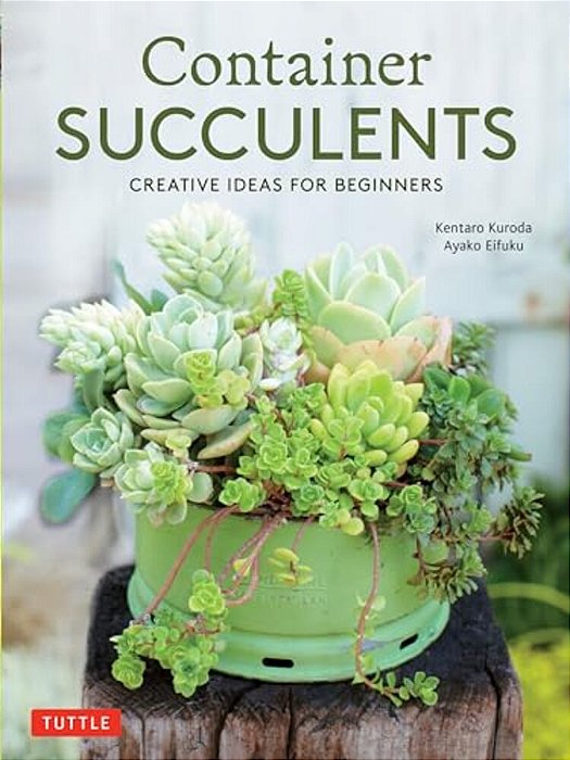 Container Succulents: Creative Ideas For Beginners-..