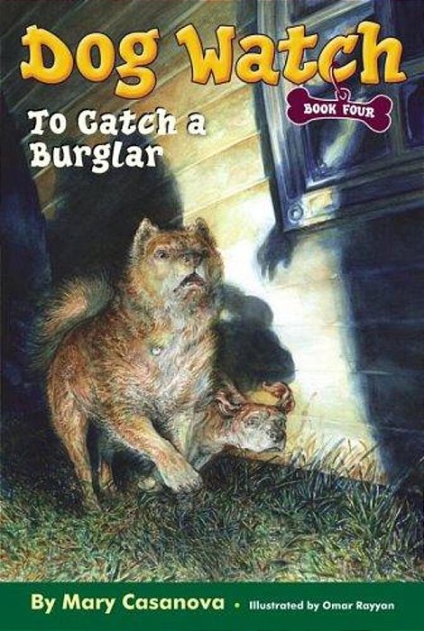 To Catch A Burglar-..