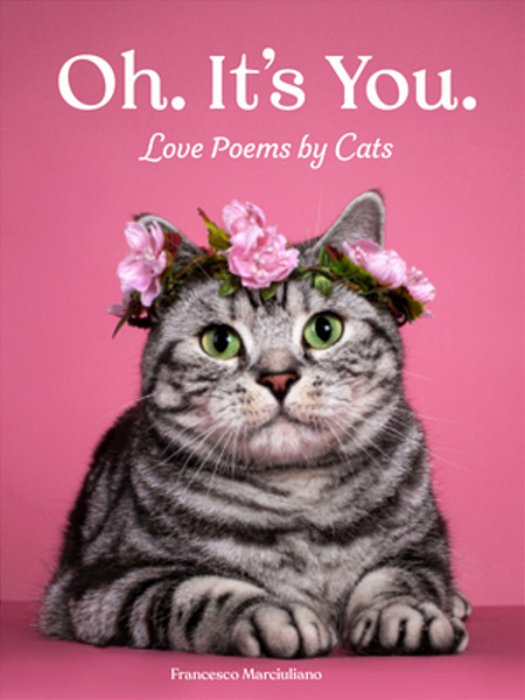 Oh. It's You.: Love Poems By Cats-..