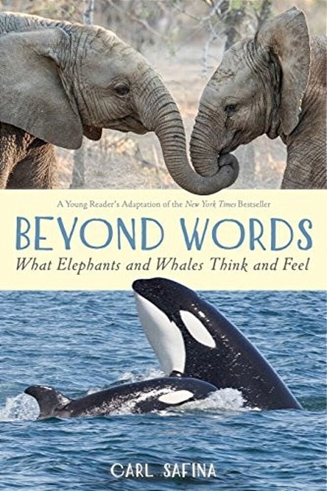 Beyond Words: What Elephants And Whales Think And Feel (A Young Reader's Adaptation)-..