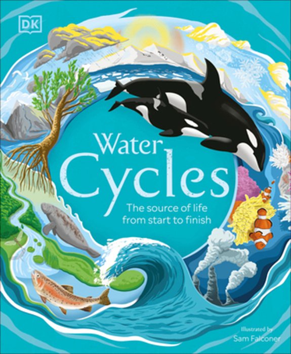 Water Cycles-..