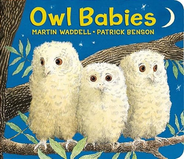 Owl Babies-..