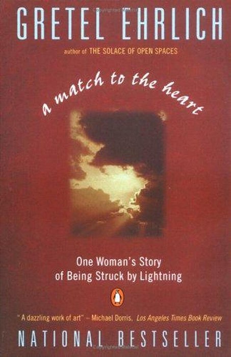 A Match To The Heart: One Woman's Story Of Being Struck By Lightning-..