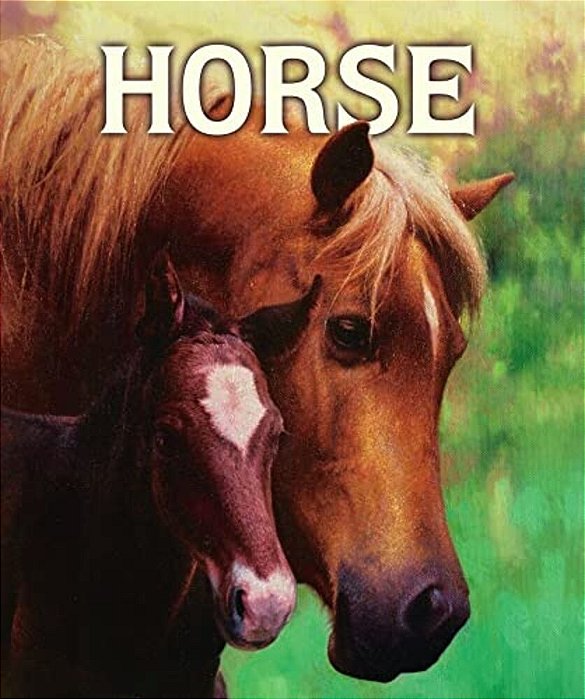 Horse-..