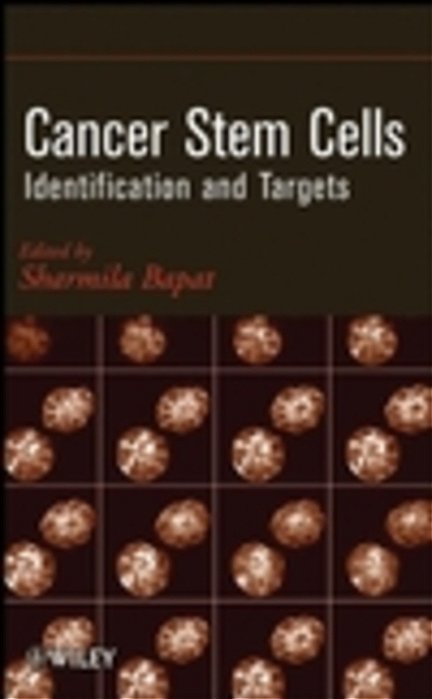 Cancer Stem Cells: Identification And Targets-..