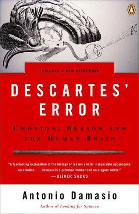 Descartes' Error-..