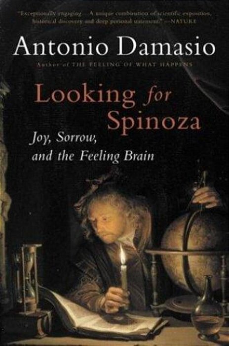 Looking For Spinoza - Joy Sorrow And The Feeling Brain-..