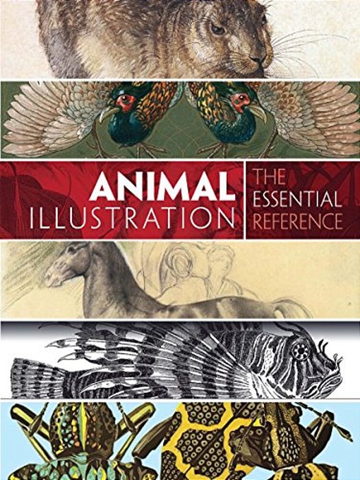 Animal Illustration: The Essential Reference-..