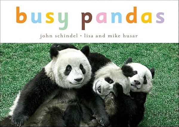 Busy Pandas-..