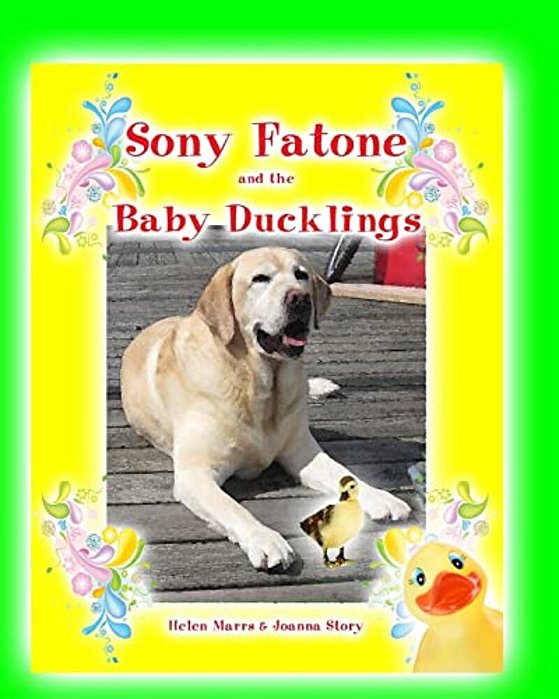 Sony Fatone And The Baby Ducklings: Sony Fatone Saves The Baby Ducks-..