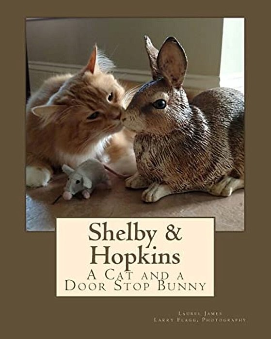 Shelby & Hopkins: A Cat And A Door Stop Bunny-..