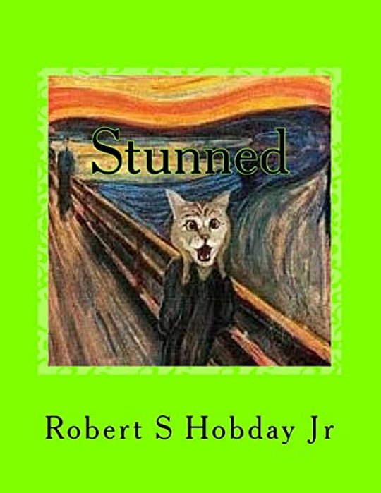 Stunned: A Collection Of Stunned Cats-..