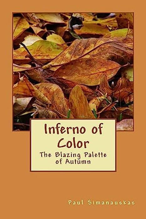 Inferno Of Color: The Blazing Palette Of Autumn-..