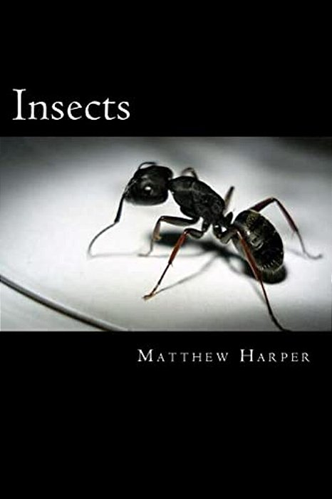 Insects: A Fascinating Book Containing Insect Facts, Trivia, Images & Memory Recall Quiz: Suitable For Adults & Children-..