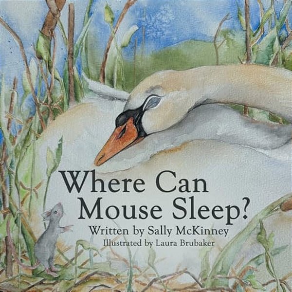 Where Can Mouse Sleep?-..